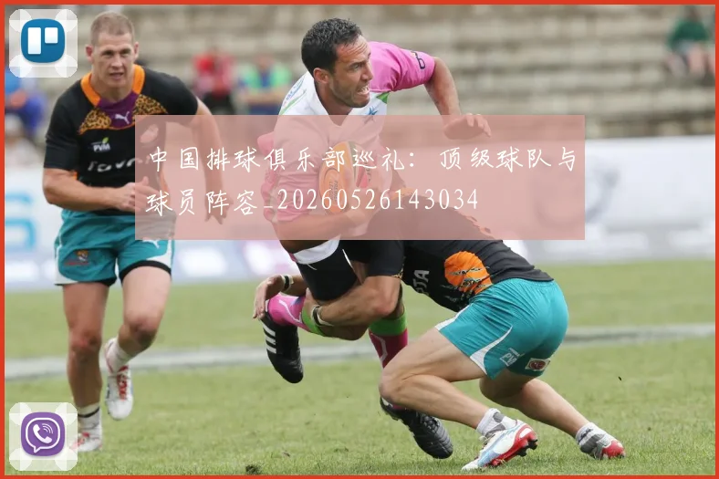 中国排球俱乐部巡礼:顶级球队与球员阵容_20260526143034