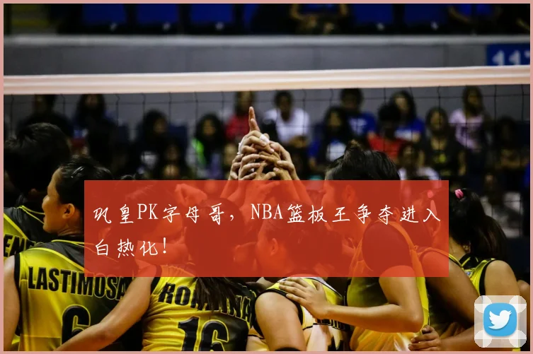 巩皇PK字母哥，NBA篮板王争夺进入白热化！